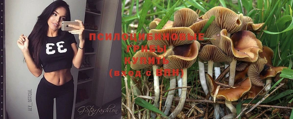 каннабис Пересвет