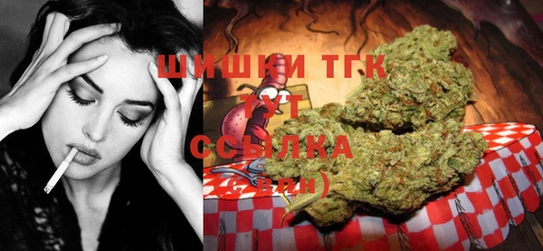 ECSTASY Алзамай