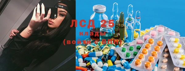 ECSTASY Алзамай