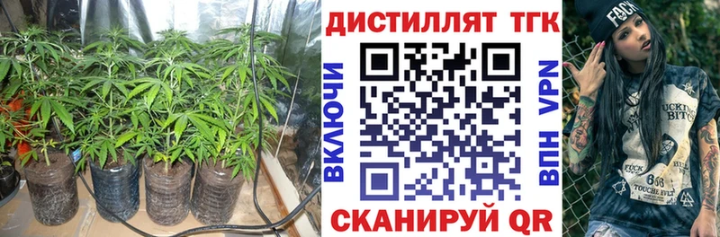 где купить наркоту Суджа Дистиллят ТГК THC oil