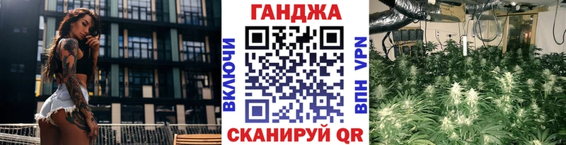 omg ссылки  Суджа  МАРИХУАНА индика 